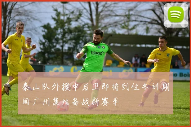 泰山队外援中后卫即将到位冬训期间广州集结备战新赛季