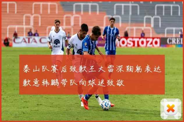 泰山队赛后致歉王大雷深鞠躬表达歉意韩鹏带队向球迷致敬