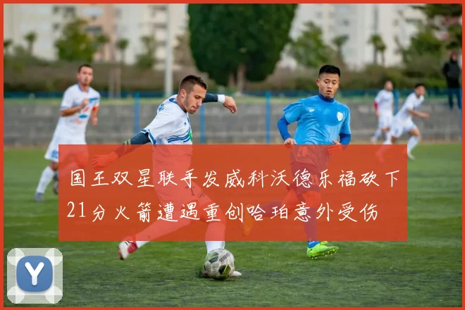 国王双星联手发威科沃德乐福砍下21分火箭遭遇重创哈珀意外受伤